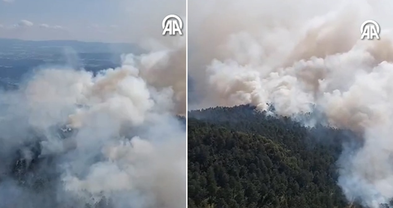 Sinop’taki orman yangınına havadan müdahale başladı!